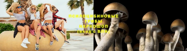 амф Белокуриха