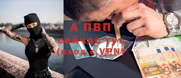 эйфоретик Беломорск