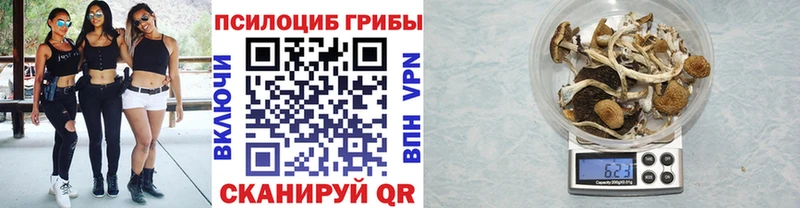 купить Кирс Псилоцибиновые грибы Psilocybe